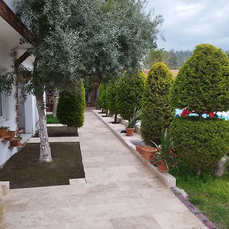 Hotel Pinar Vintage House *