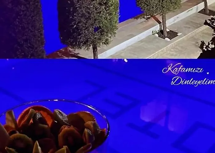 Pinar Vintage House *